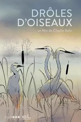 BD高清免费观看