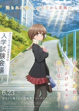 DVD高清完整版