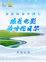 完结高清影视