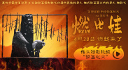 中文字幕在线手机播放