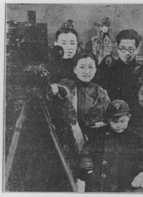 蓝光原盘在线观看
